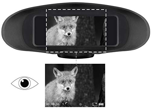 bresser-appareil-vision-nocturne-num-rique-binoculaire-3x-port-e-130-m image 8