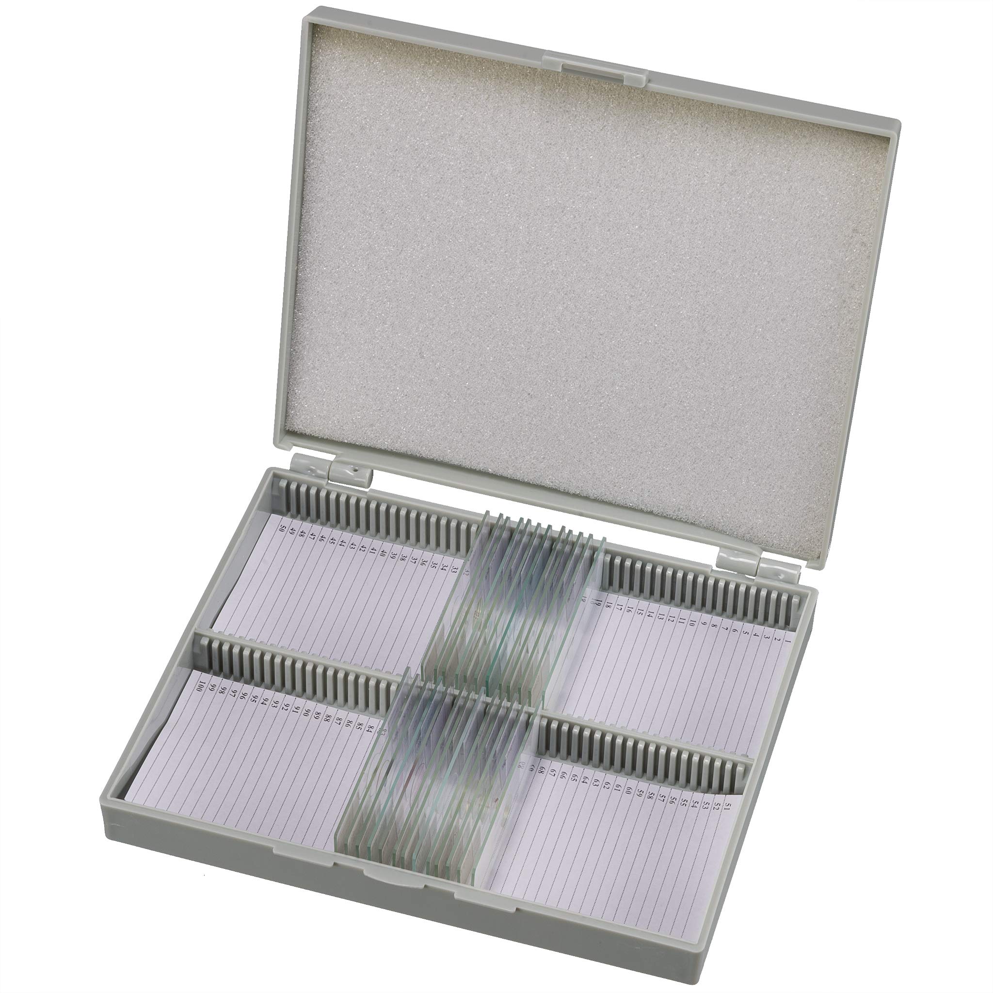 bresser-coffret-lames-pr-par-es-microscope-25-pi-ces-en-bo-te-bois image 1
