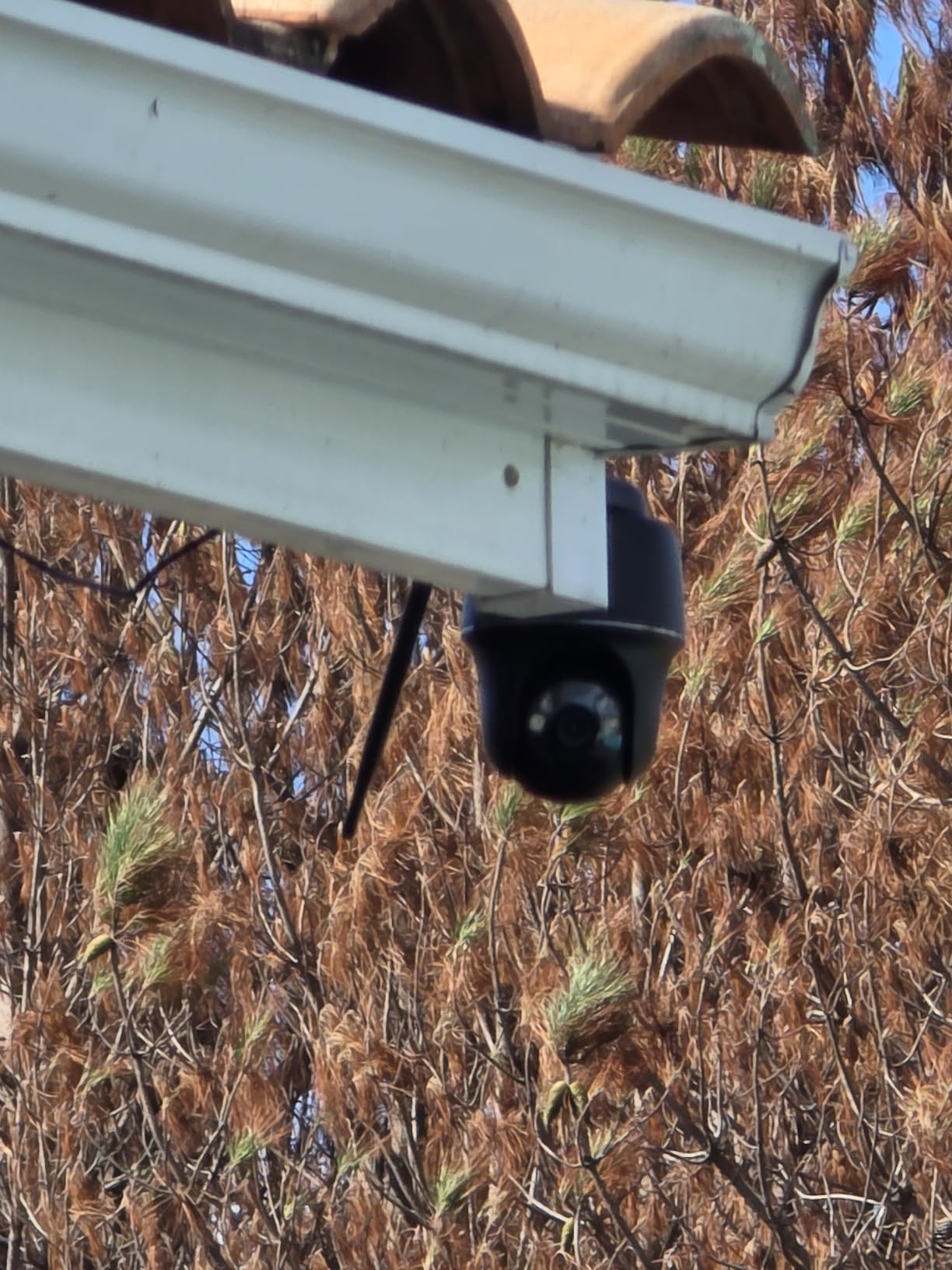 Surveillance jardin parfaite