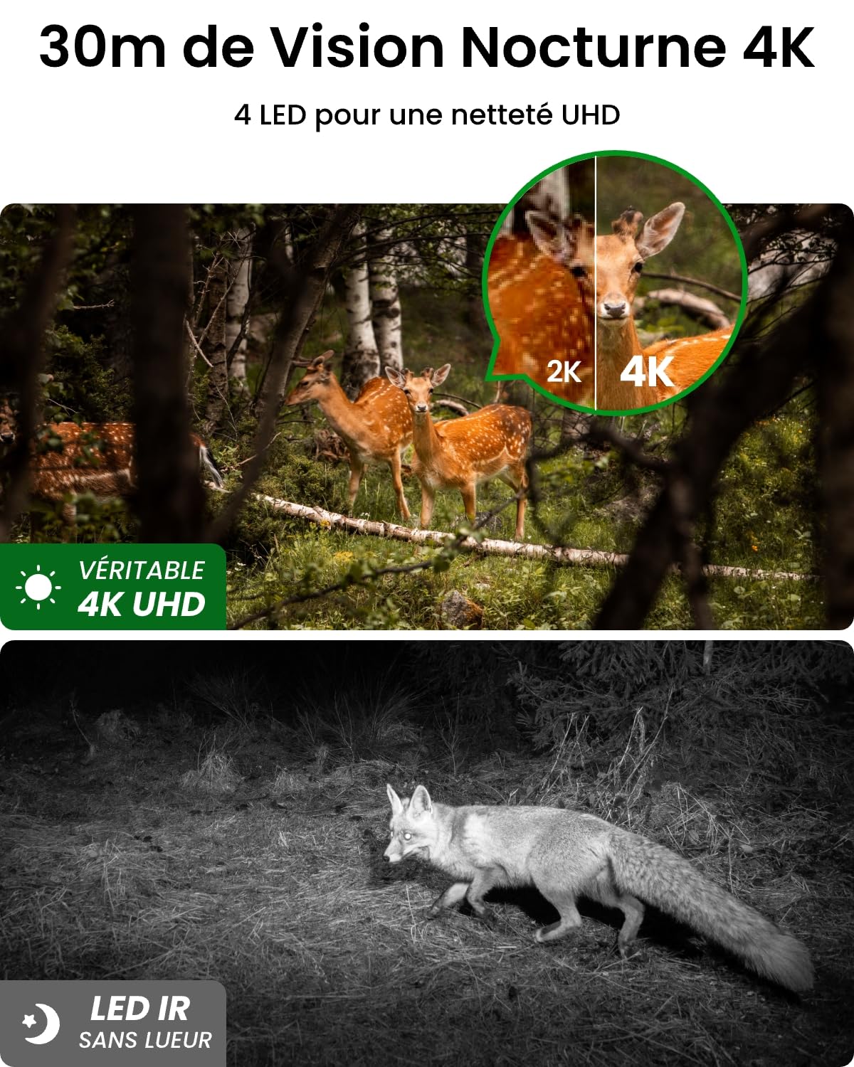 reolink-go-ranger-pt-cam-ra-surveillance-ext-rieure-4g-lte-4k-uhd-ptz-panneau-so image 2
