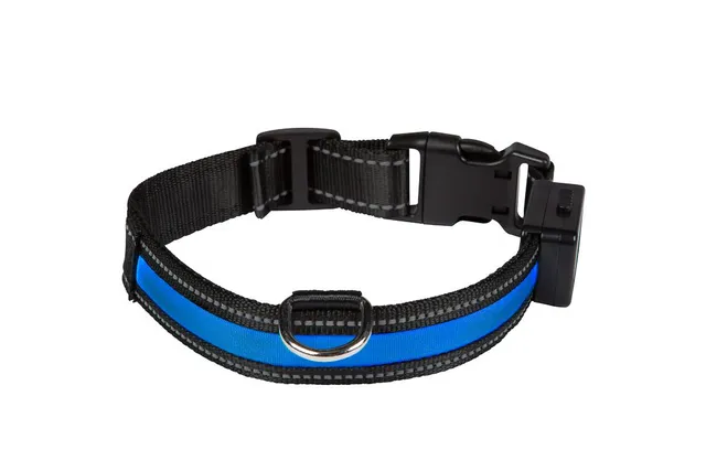 num-axes-eyenimal-light-collar-collier-lumineux-led-usb-rechargeable image 1