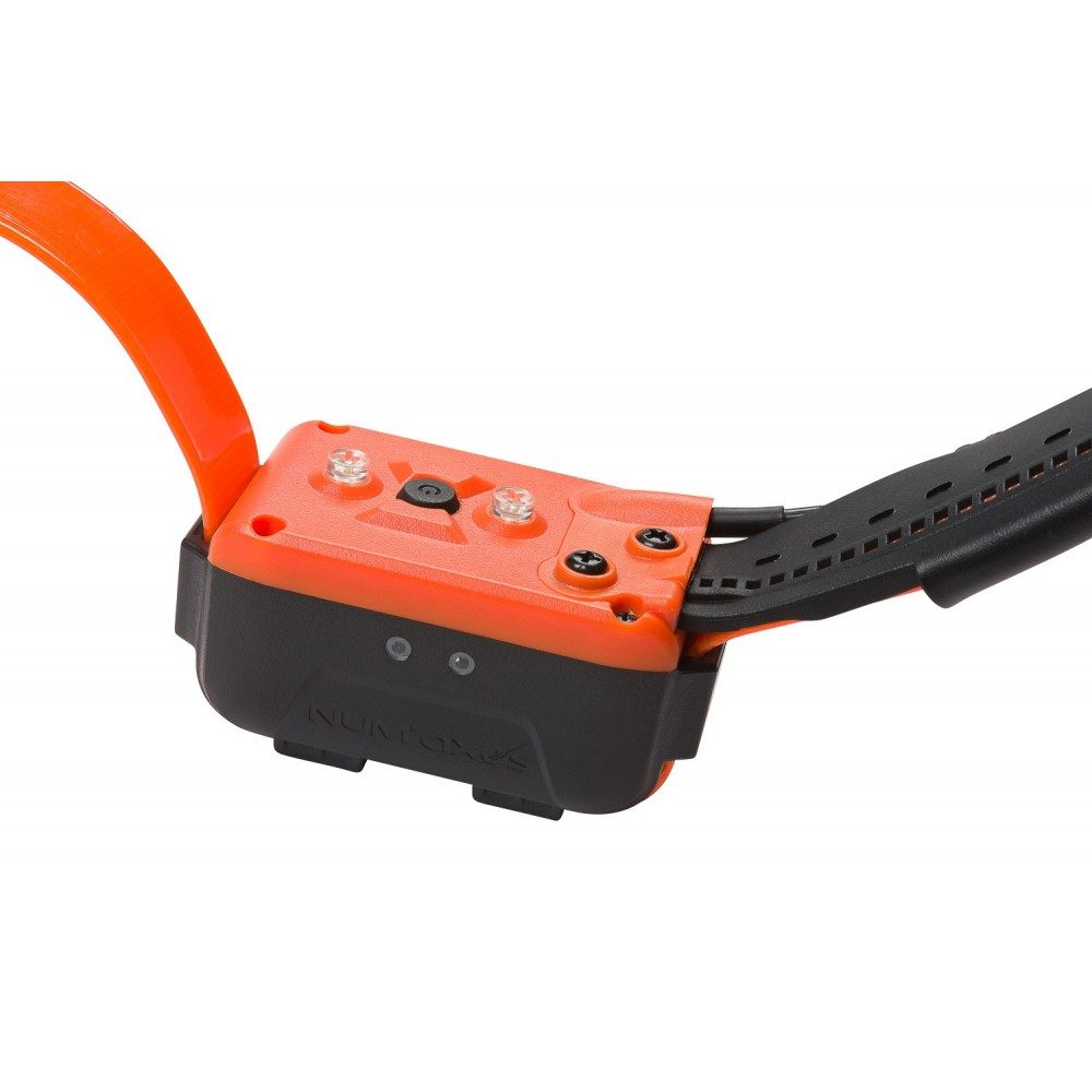 num-axes-collier-de-rep-rage-additionnel-canicom-gps-gps-ducation-longue-port-e image 4