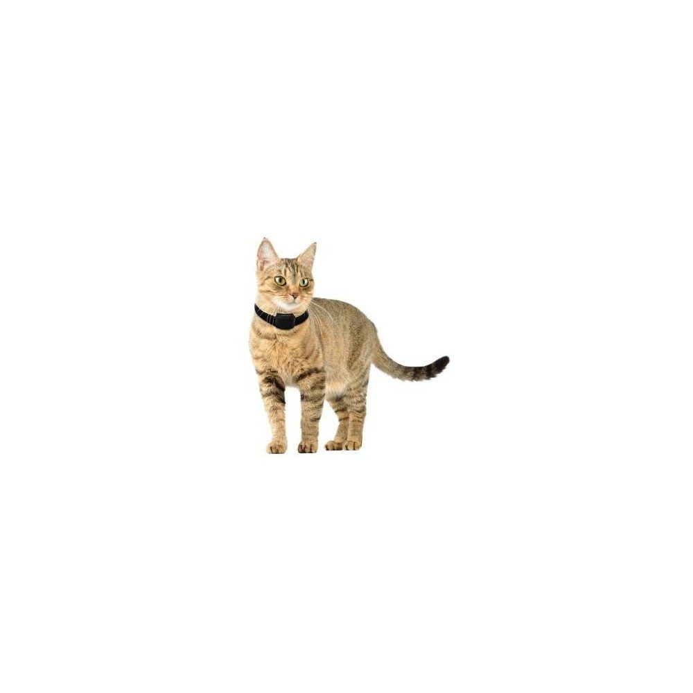num-axes-canifugue-small-syst-me-anti-fugue-pour-chats-et-petits-chiens image 3