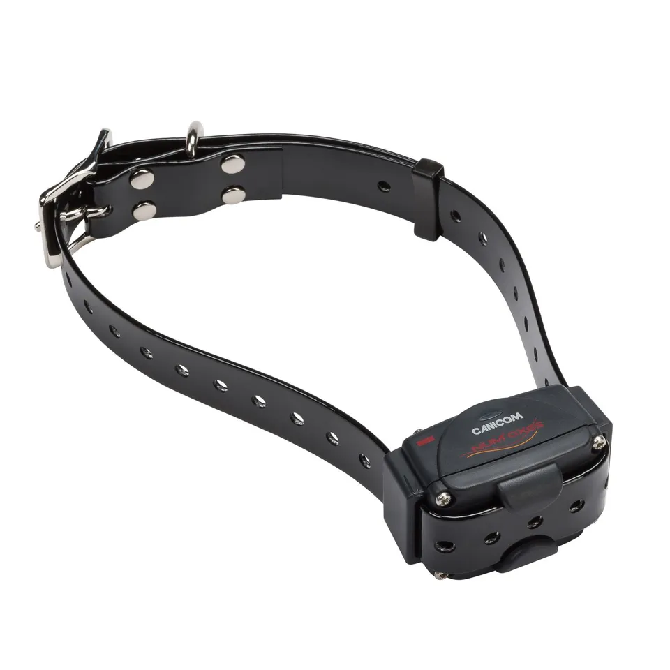 num-axes-canicom-collier-de-dressage-additionnel-cr2 image 1
