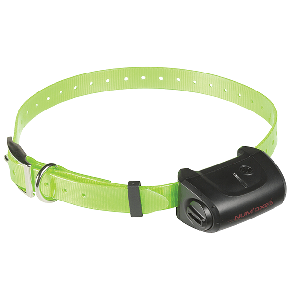 num-axes-pack-canicom-5-1500-pour-3-chiens-collier-de-dressage-grande-port-e image 4