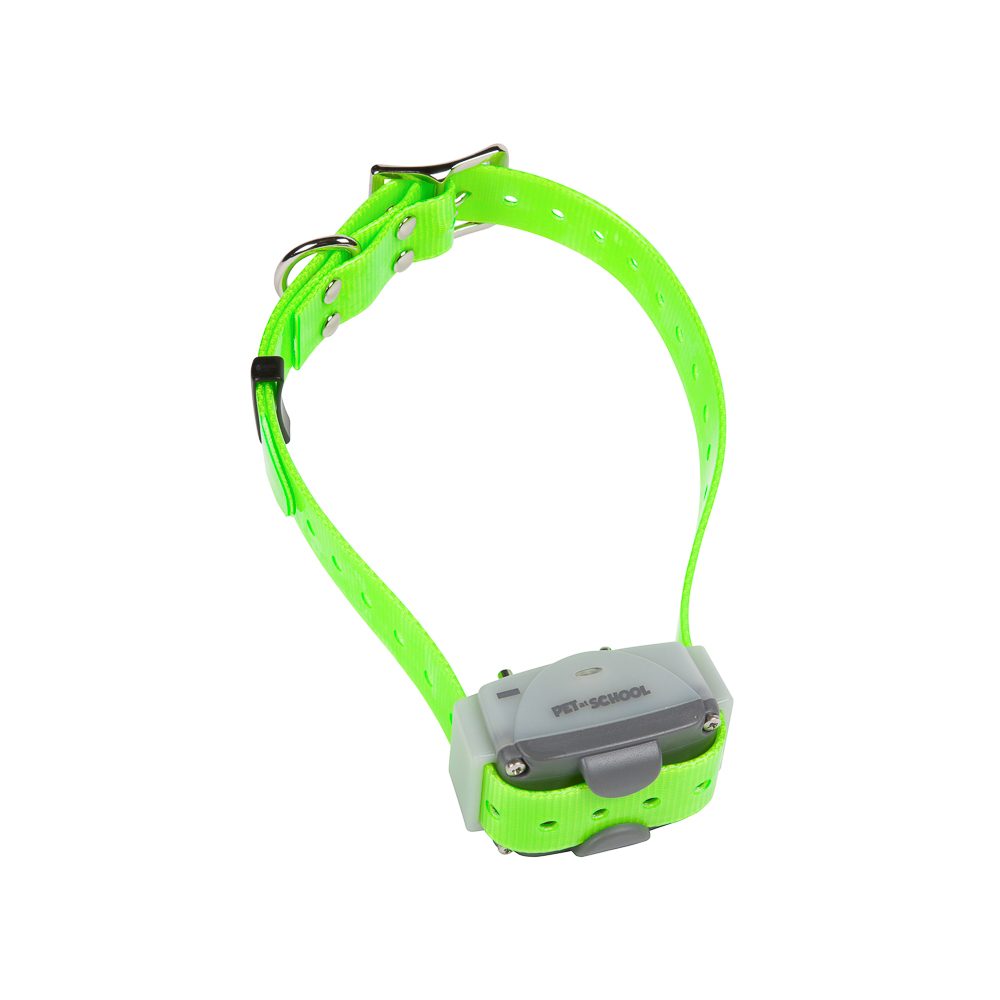 num-axes-pet-at-school-pulse-collier-de-dressage-t-l-commande-sans-stimulation image 3