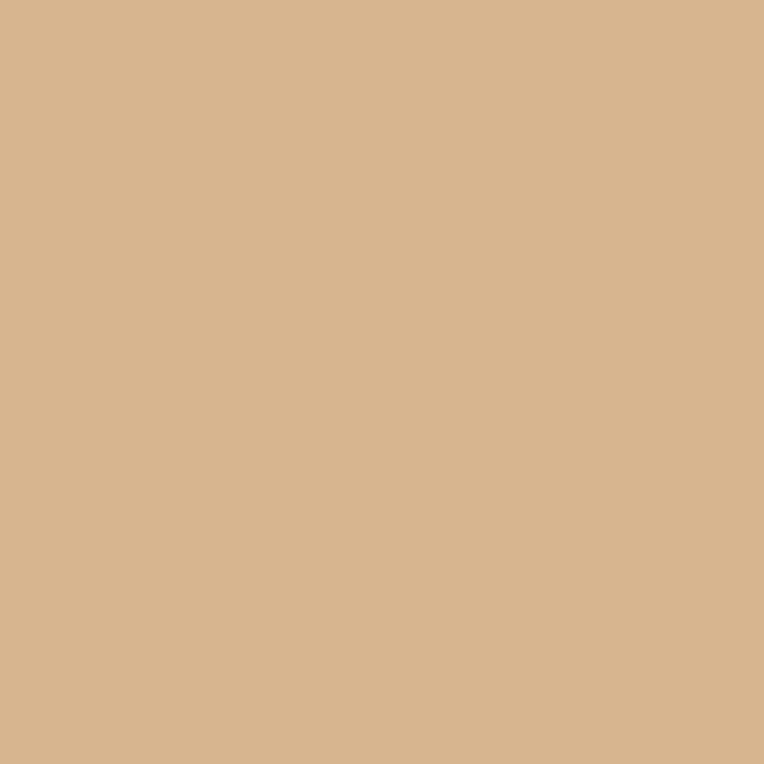 bresser-sbp15-rouleau-de-fond-papier-beige-2-72-x-11-m-160-g-m image 2