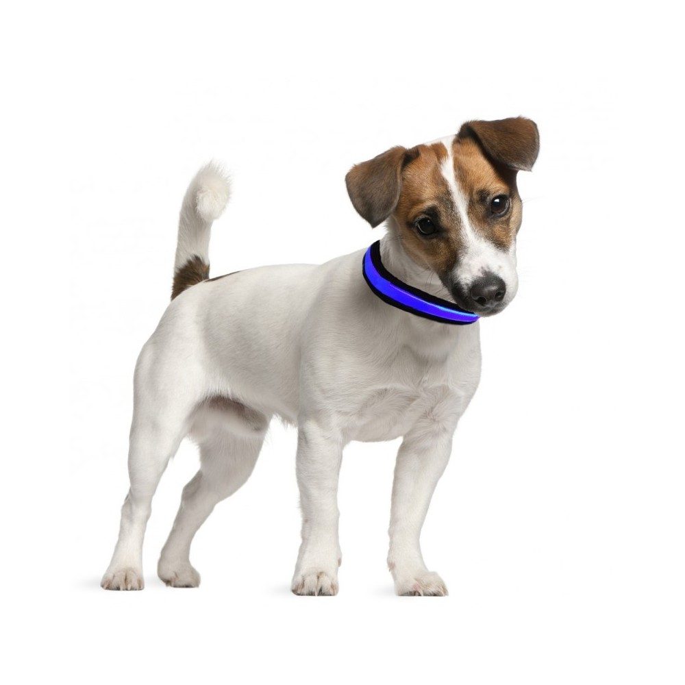 num-axes-eyenimal-light-collar-collier-lumineux-led-usb-rechargeable image 2