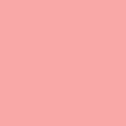 bresser-sbp12-rouleau-fond-papier-rose-2-72-x-11-m-160-g-m image 5