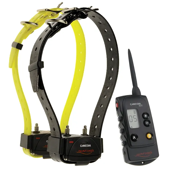 num-axes-pack-de-dressage-canicom-800-pour-2-chiens image 1