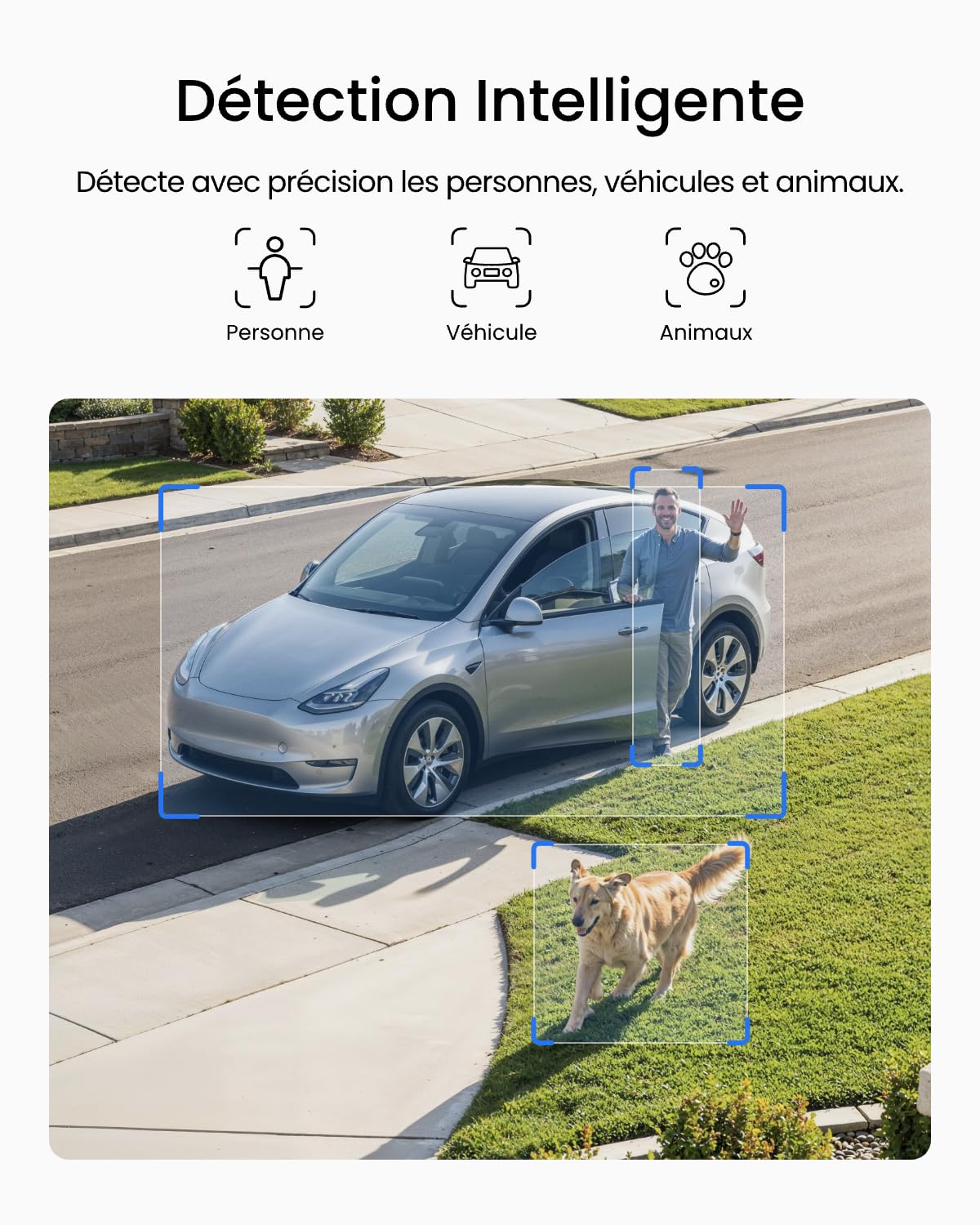 reolink-argus-solar-cam-ra-ext-rieure-sans-fil-3k-5mp-wi-fi-6-double-bande-recha image 5