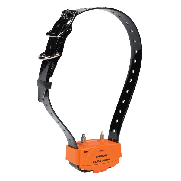 num-axes-ensemble-de-dressage-canicom-1000-1-chien image 2