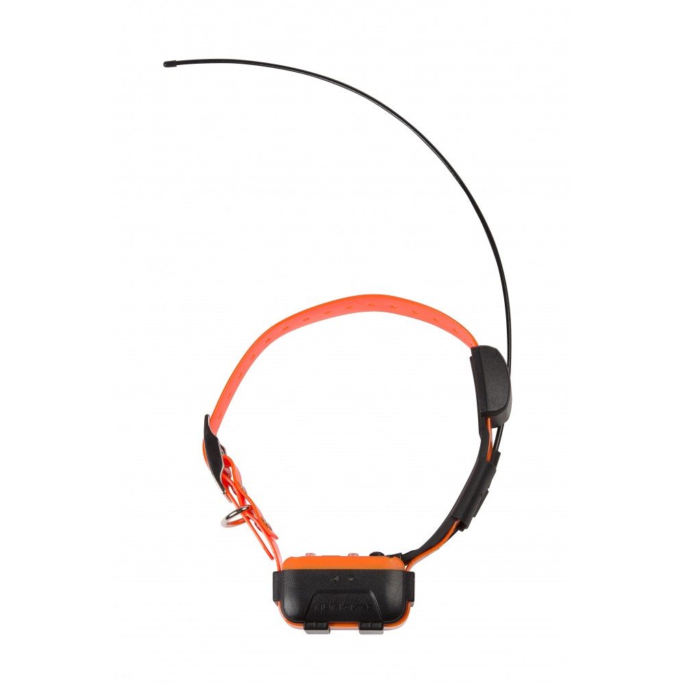 num-axes-collier-de-rep-rage-additionnel-canicom-gps-gps-ducation-longue-port-e image 3