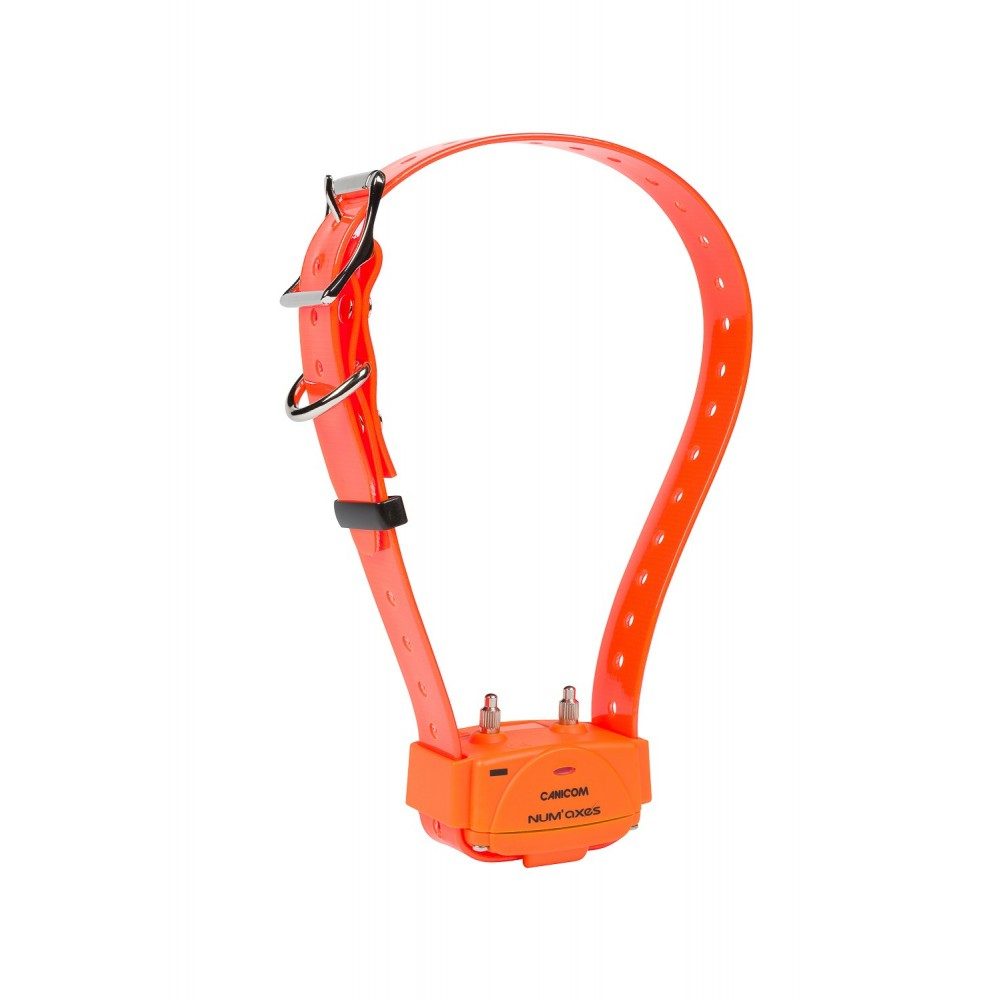 num-axes-canicom-orange-collier-de-dressage-additionnel image 3