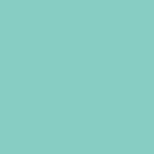 bresser-sbp18-fond-de-studio-en-papier-2-72-x-11-m-bleu-160-g-m image 5