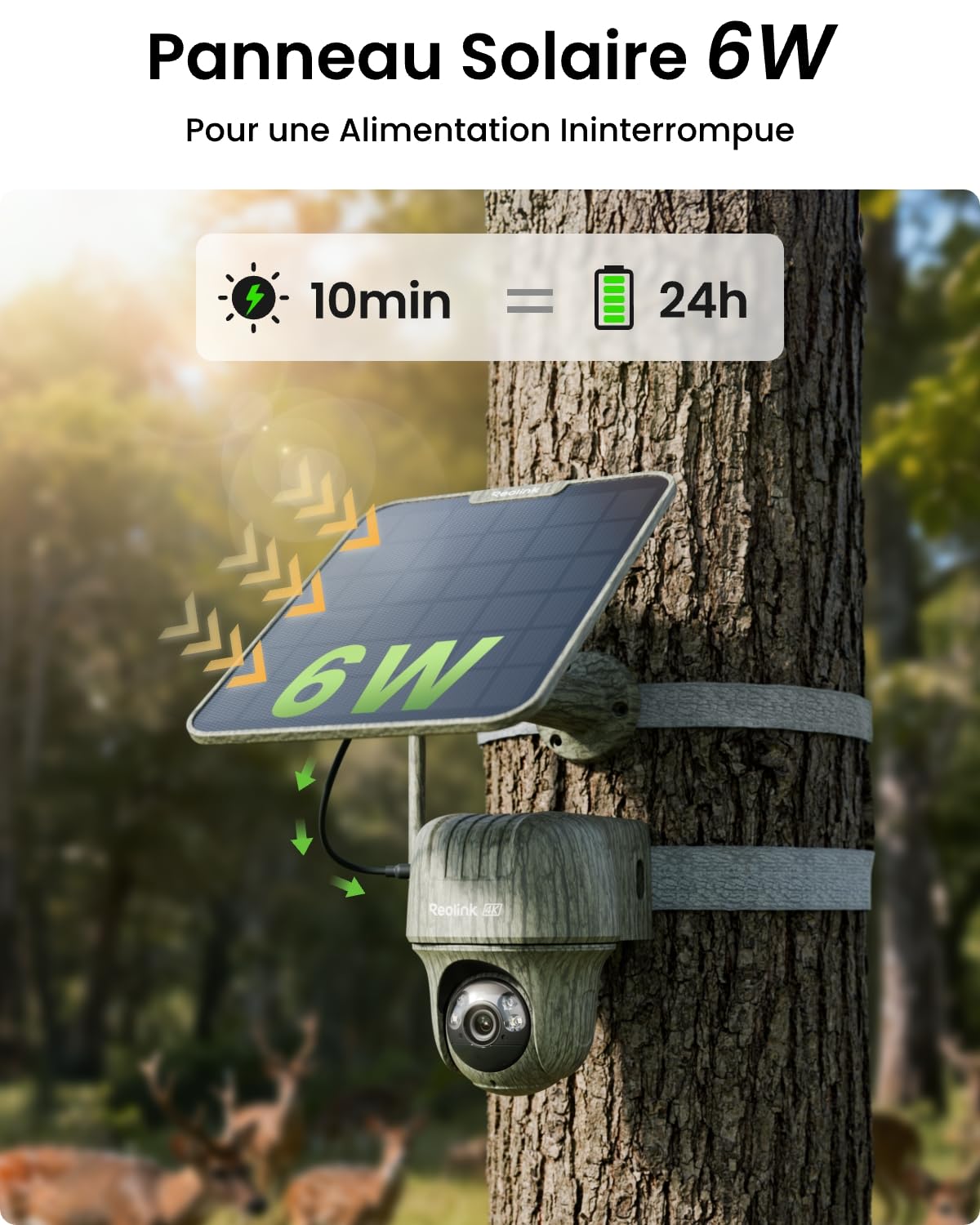 reolink-go-ranger-pt-cam-ra-surveillance-ext-rieure-4g-lte-4k-uhd-ptz-panneau-so image 4