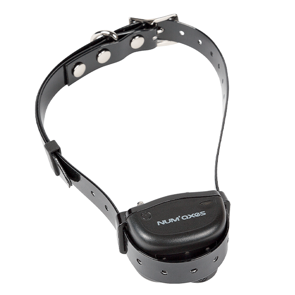 num-axes-collier-anti-aboiement-connect-canicalm-smart-bluetooth-avec-applicatio image 2