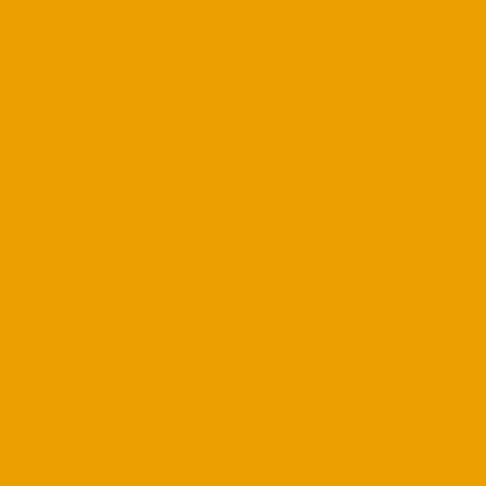 bresser-sbp14-rouleau-fond-papier-jaune-bouton-d-or-2-x-11-m-160-g-m image 2