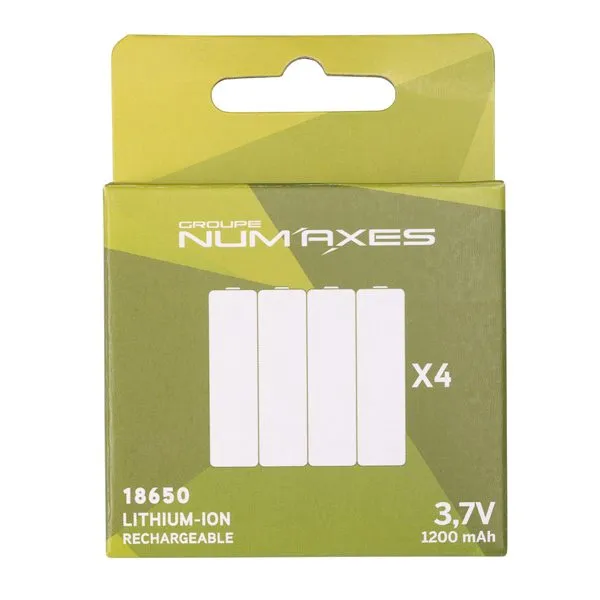 num-axes-bo-te-de-4-batteries-rechargeables-li-ion-18650-pour-pie1078 image 1