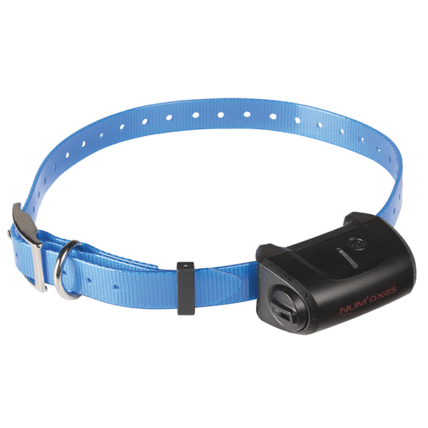 num-axes-canicom-5-collier-de-dressage-suppl-mentaire image 4