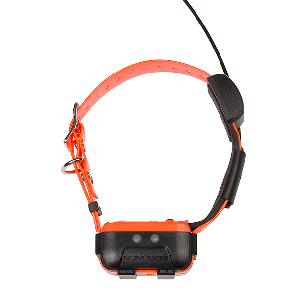 num-axes-canicom-gps-2-collier-de-localisation-suppl-mentaire image 5