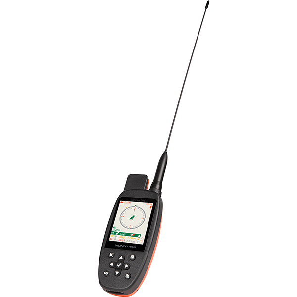 num-axes-canicom-gps-2-syst-me-de-rep-rage-gps-galileo image 3