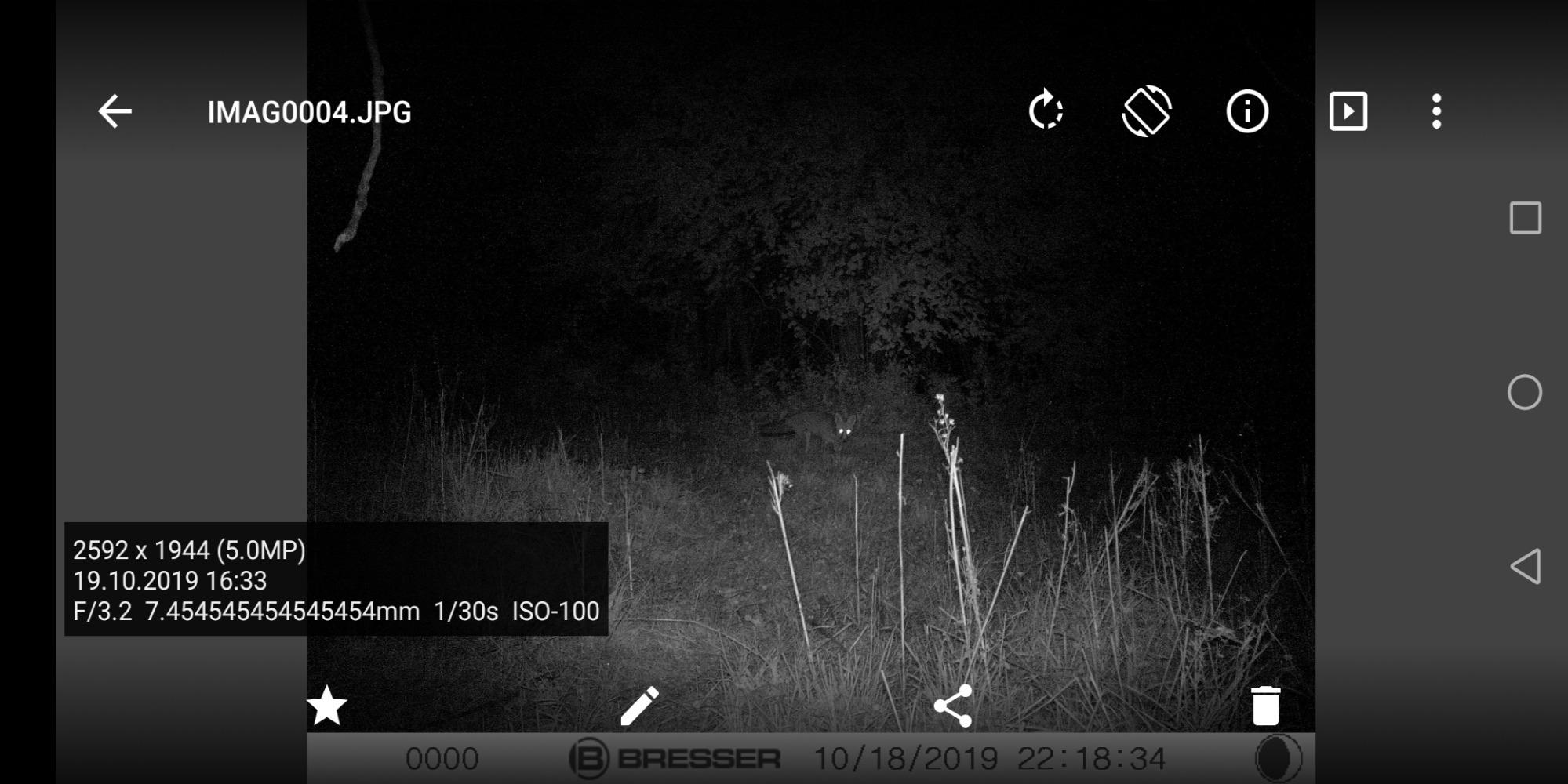 Parfaite pour observer la faune