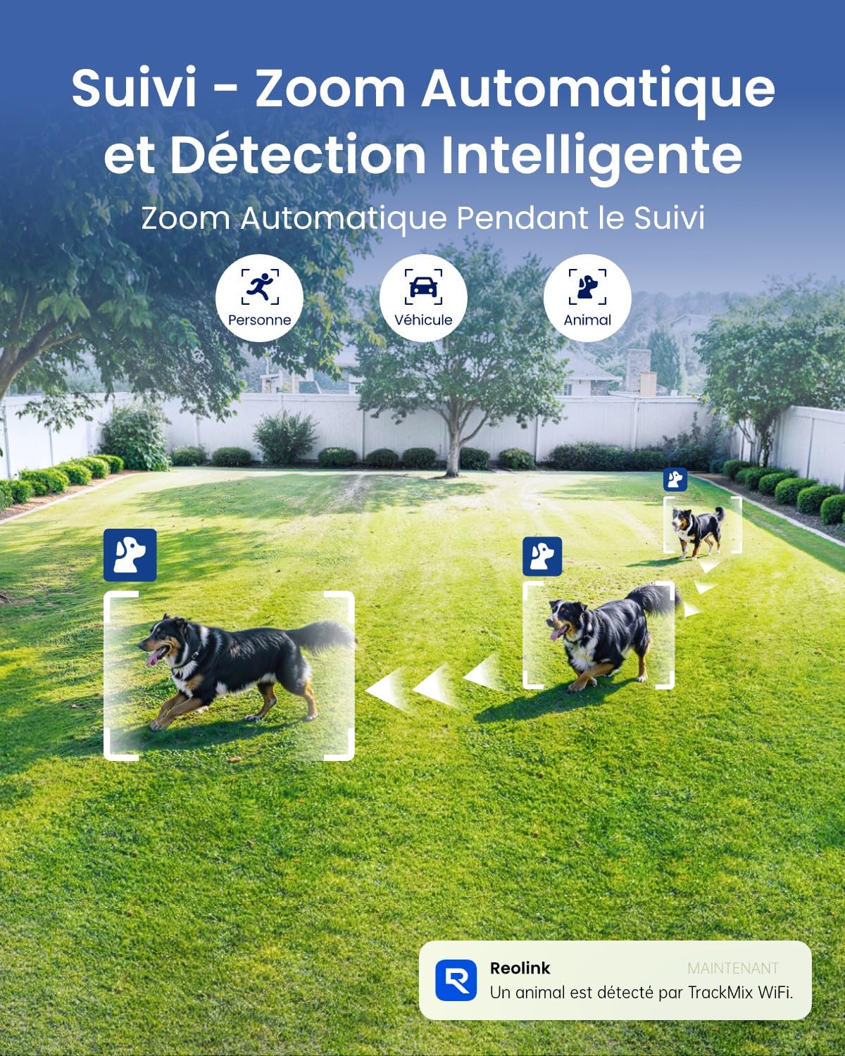 reolink-trackmix-4k-ptz-cam-ra-surveillance-wifi-ext-rieure-double-objectif-zoom image 4