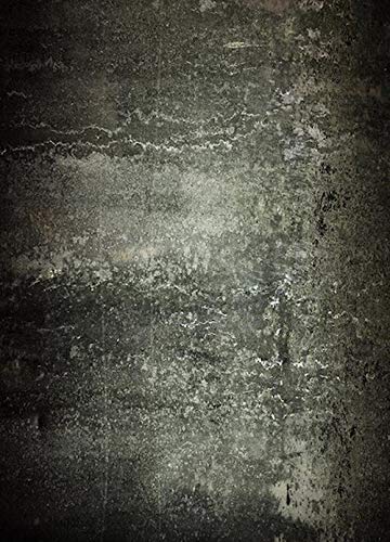 bresser-br-l655-fond-studio-en-tissu-avec-impression-photo-1-8-x-2-5-m image 1