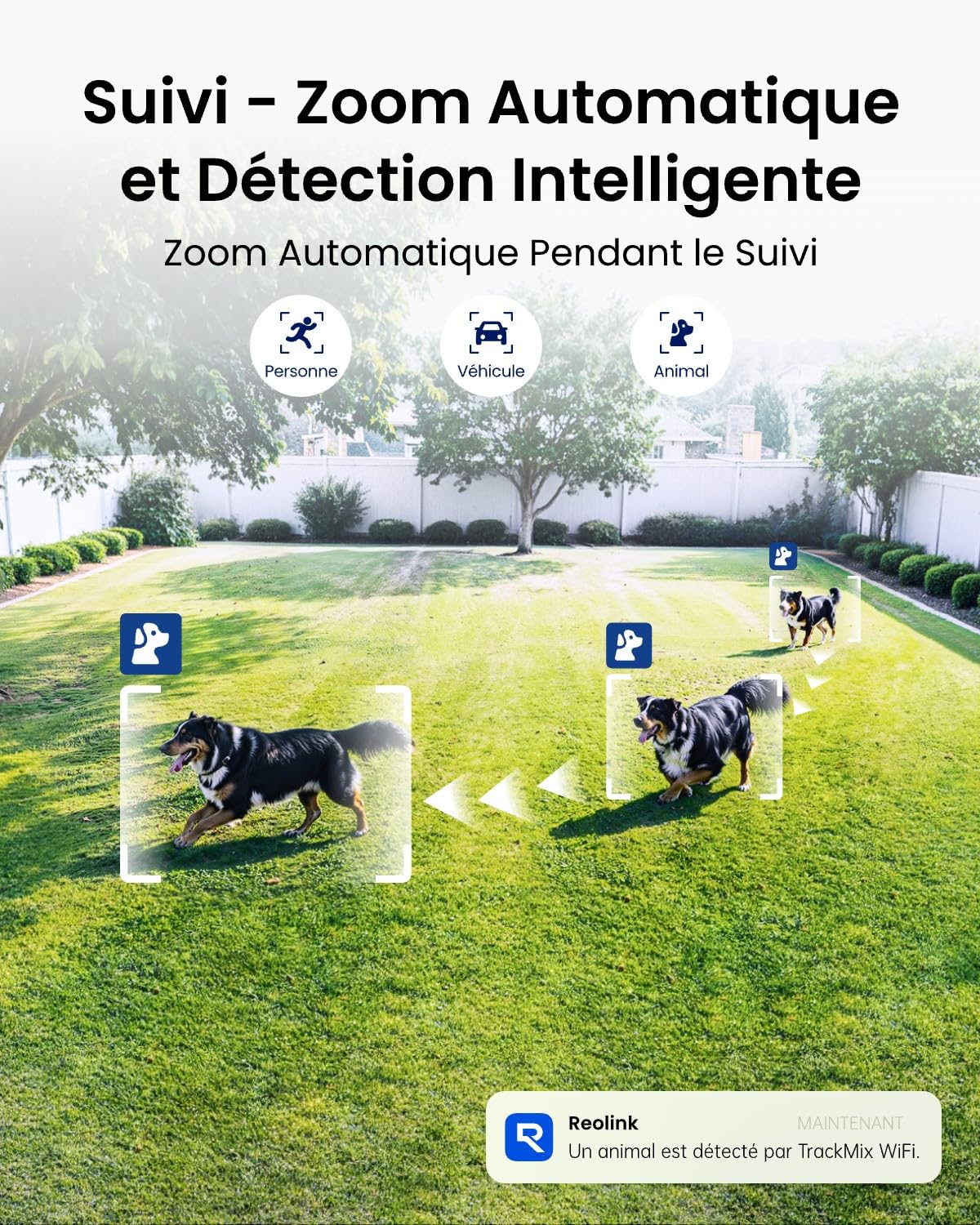 reolink-trackmix-wifi-4k-ptz-cam-ra-surveillance-ext-rieure-double-objectif-6x image 4