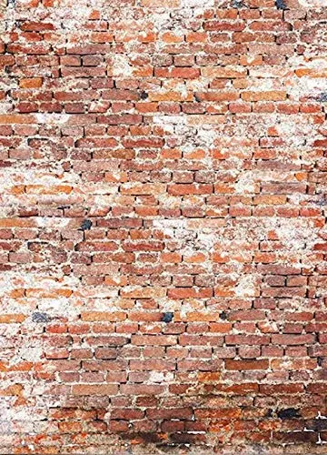 bresser-br-s1040-fond-en-tissu-avec-impression-photo-1-8-x-2-5-m image 1