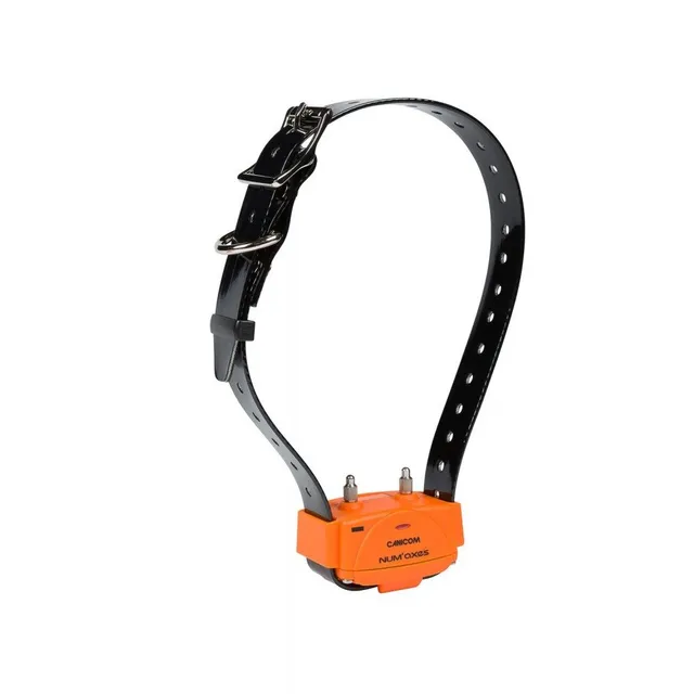num-axes-canicom-orange-collier-de-dressage-additionnel image 1