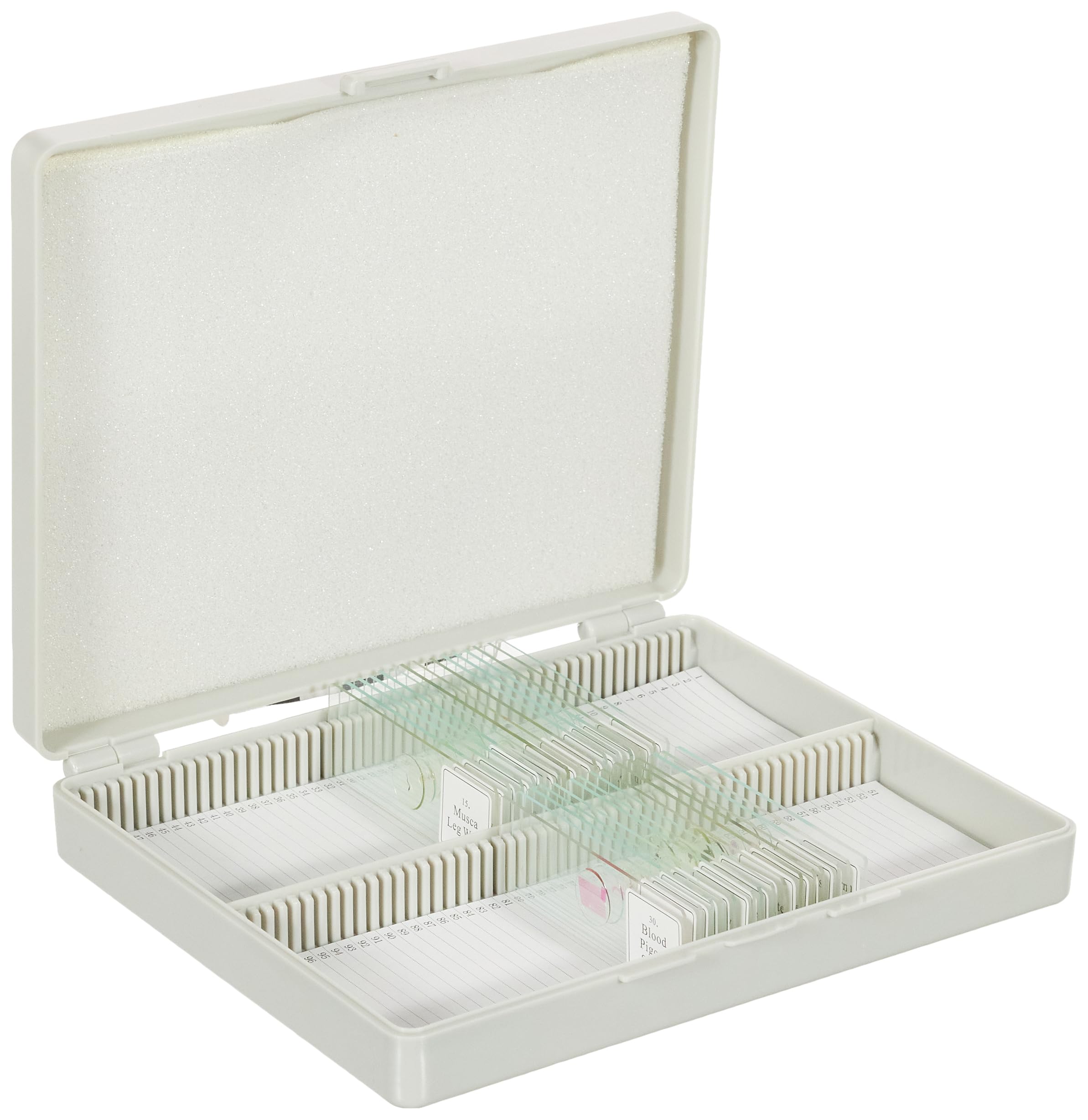 bresser-lames-pr-par-es-animaux-x30-pour-microscope-coffret-bois image 3
