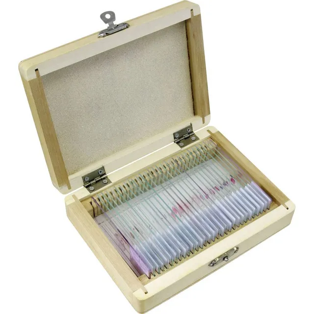 bresser-lames-pr-par-es-animaux-x30-pour-microscope-coffret-bois image 1