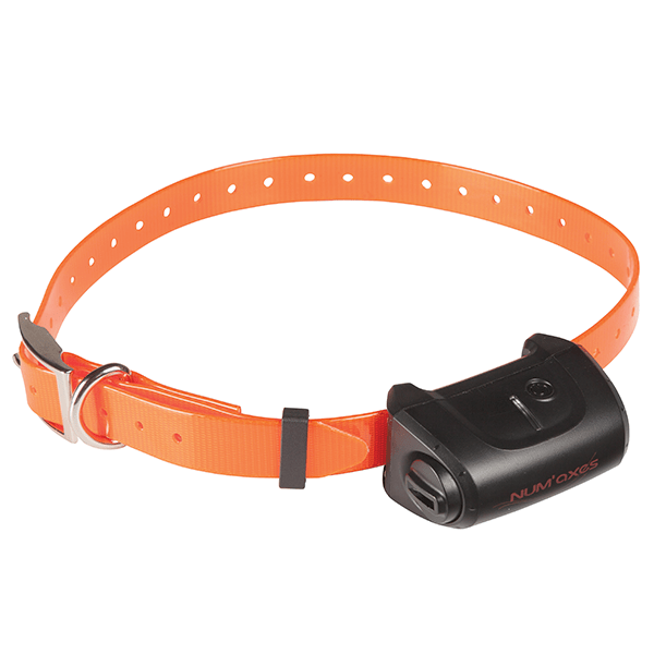 num-axes-canicom-5-1500-ensemble-de-dressage-1500-m-bip-vibration image 3