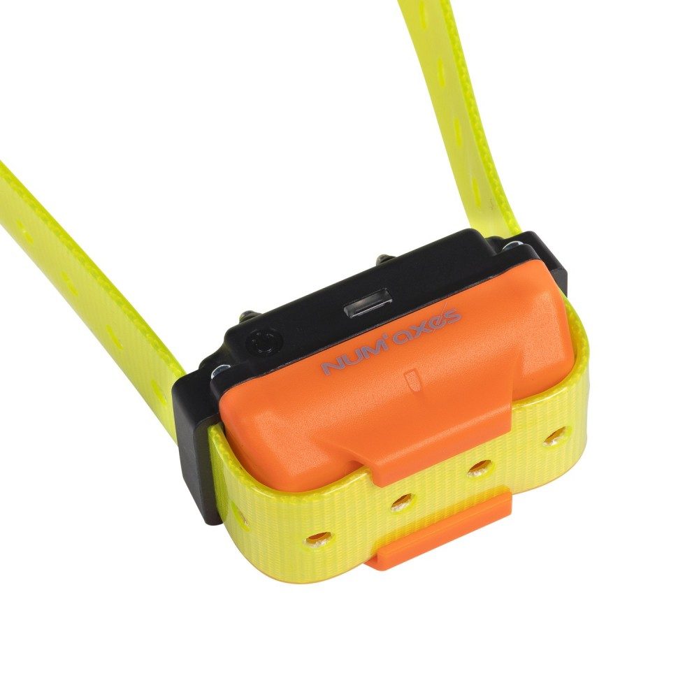 num-axes-canicom-r-collier-de-dressage-rechargeable-additionnel image 4