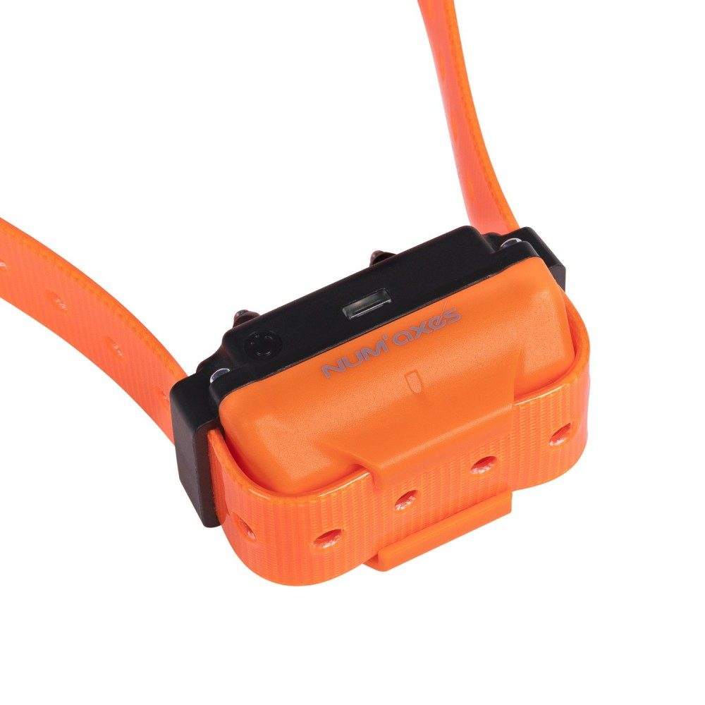 num-axes-canicom-r-collier-de-dressage-rechargeable-additionnel image 2