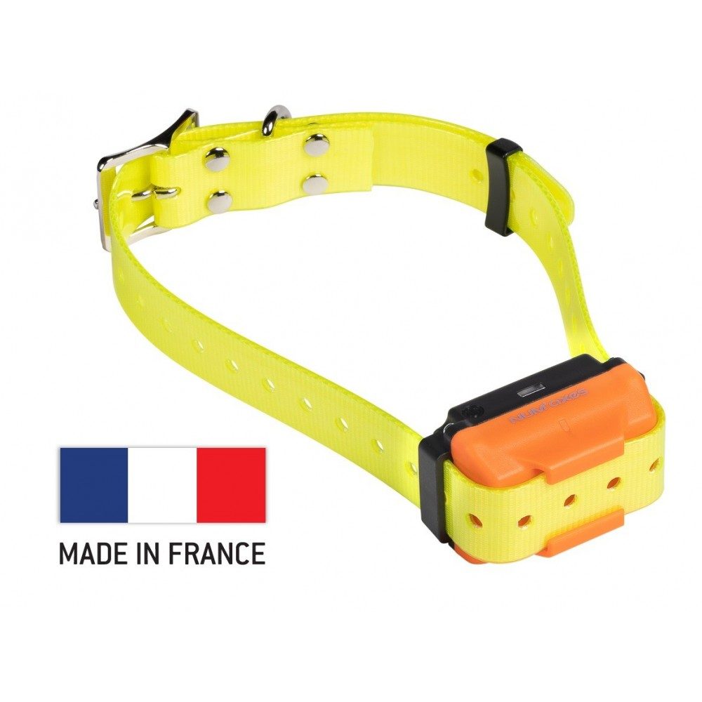 num-axes-canicom-r-collier-de-dressage-rechargeable-additionnel image 3