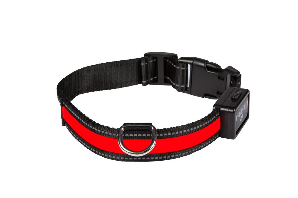 num-axes-eyenimal-light-collar-collier-lumineux-led-usb-rechargeable image 3