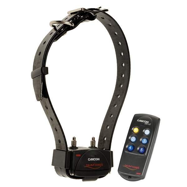 num-axes-canicom-250-le-ensemble-de-dressage image 1