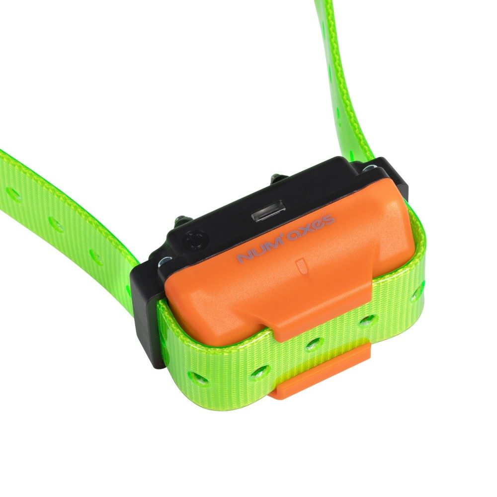 num-axes-canicom-r-collier-de-dressage-rechargeable-additionnel image 6