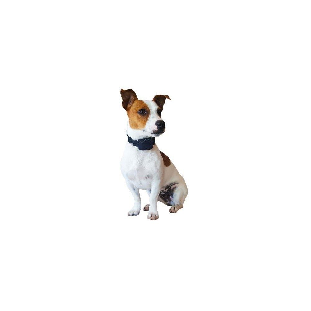 num-axes-canifugue-small-syst-me-anti-fugue-pour-chats-et-petits-chiens image 2