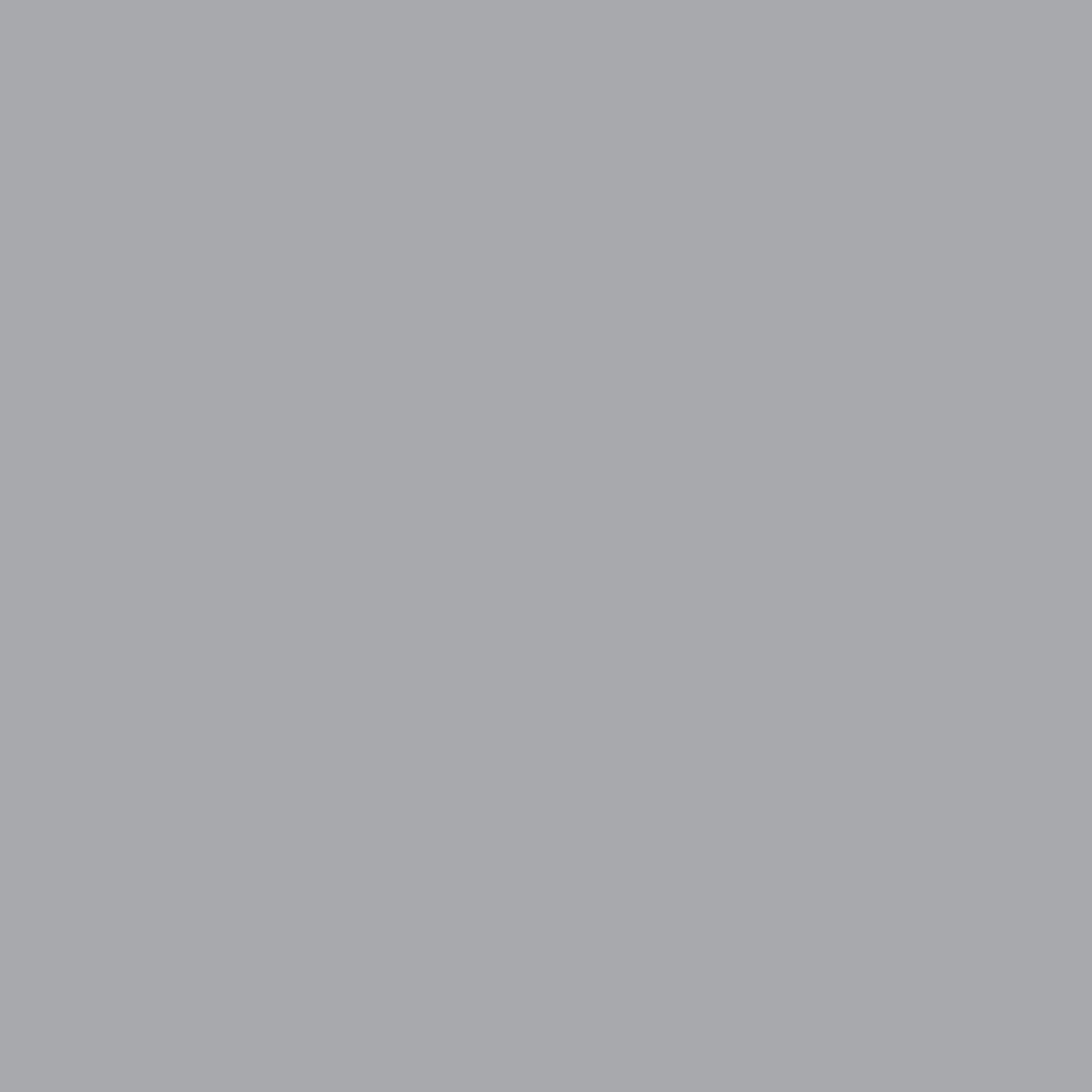 bresser-fond-studio-papier-1-35-x-11-m-gris-temp-te-180-g-m image 3