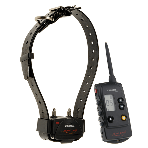 num-axes-canicom-800-collier-de-dressage-t-l-commande-800-m-2-chiens image 1