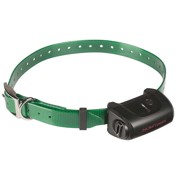 num-axes-canicom-5-collier-de-dressage-suppl-mentaire image 8