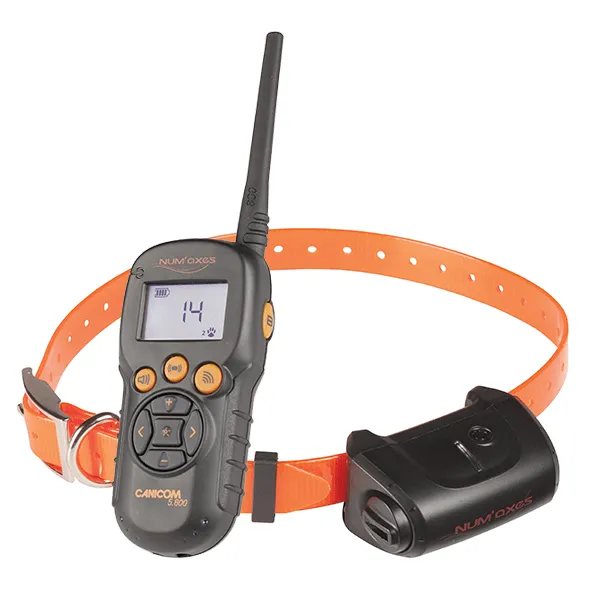num-axes-canicom-5-800-collier-de-dressage-t-l-commande-800-m-tres image 1