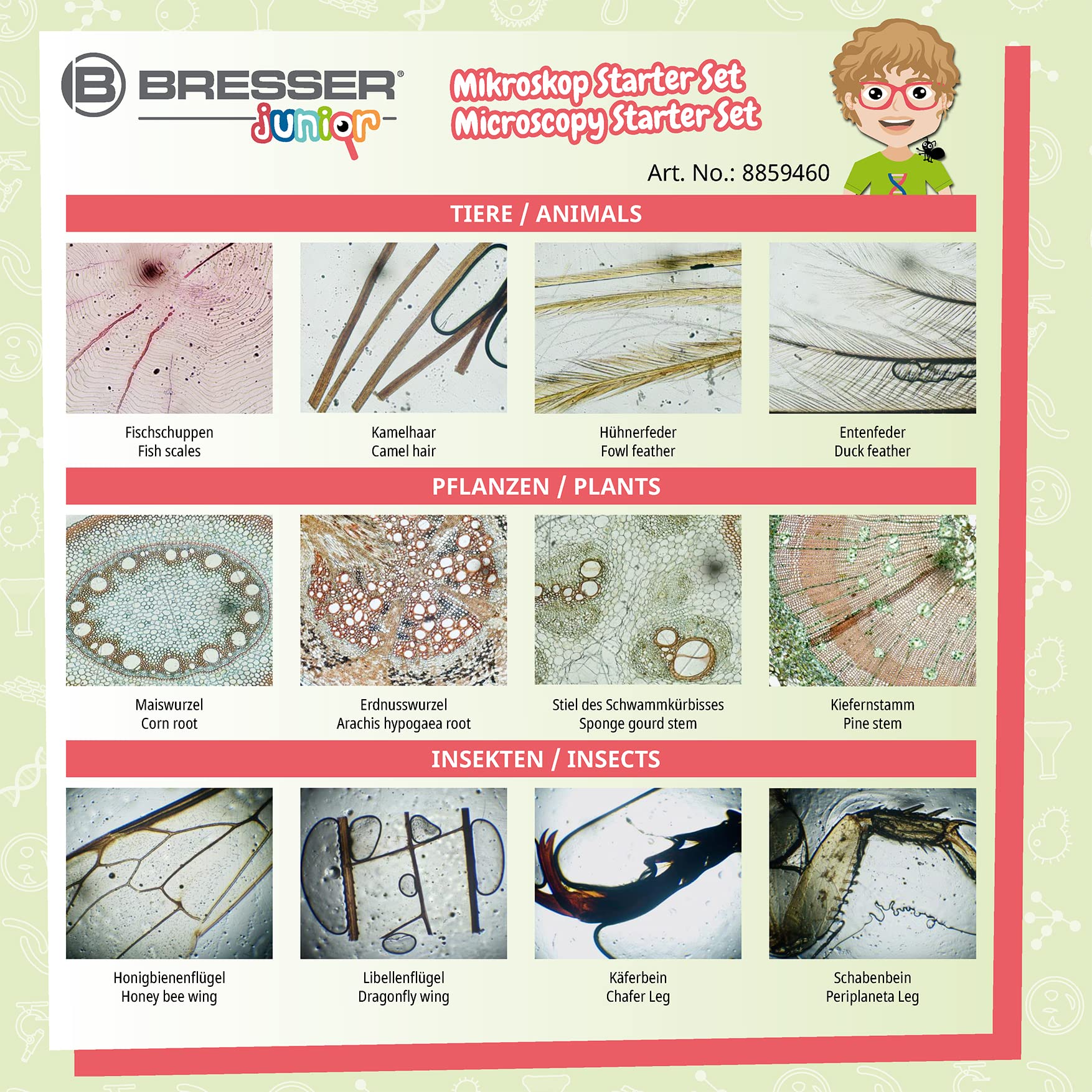 bresser-junior-kit-24-pr-parations-permanentes-microscope-6-lames image 5