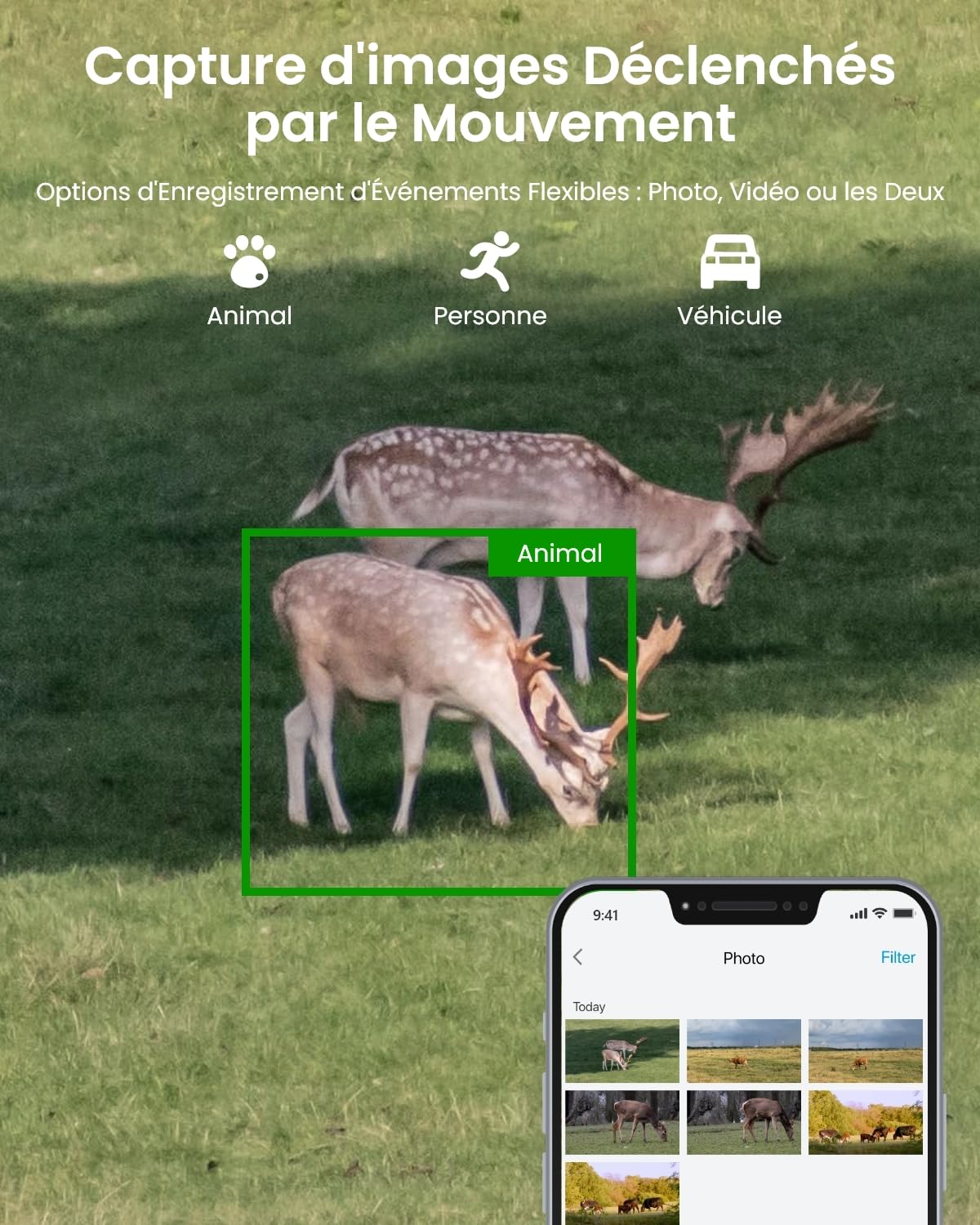 reolink-trackmix-lte-4k-cam-ra-4g-double-objectif-ptz-trailcam image 5