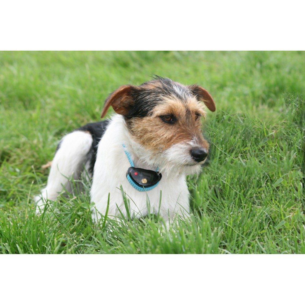 num-axes-canicalm-spray-collier-anti-aboiement-spray-pour-chien image 3