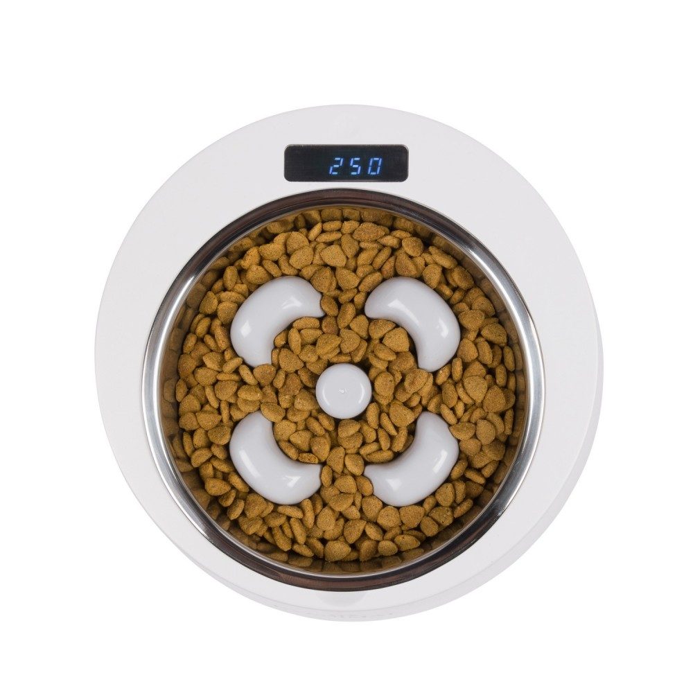 num-axes-nutri100-gamelle-avec-balance-int-gr-e-anti-glouton image 3